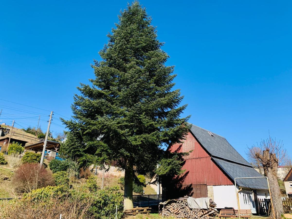 Naturhof Kluge Saupsdorf Exteriör bild