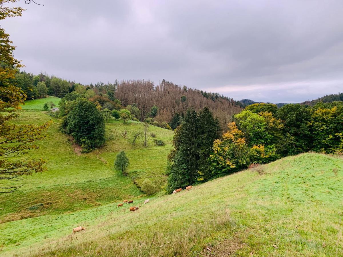 Naturhof Kluge Saupsdorf Exteriör bild