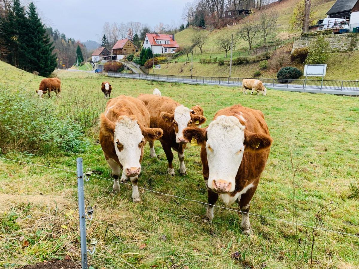 Naturhof Kluge Saupsdorf Exteriör bild