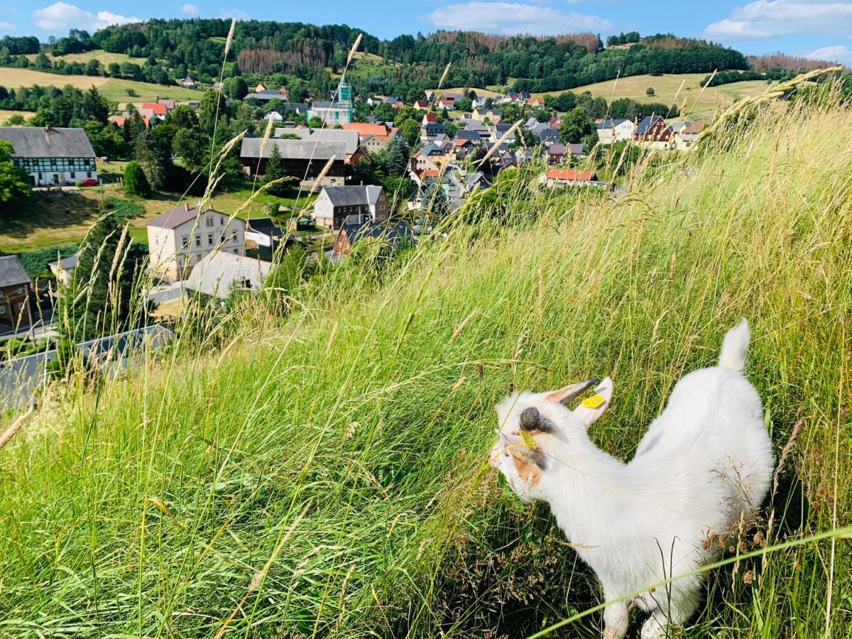 Naturhof Kluge Saupsdorf Exteriör bild